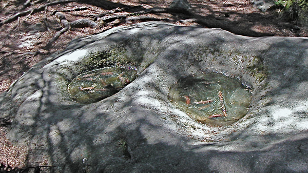 Photographie de Jl Staub d’une roche présentant deux cupules